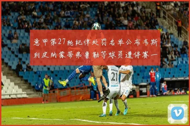 意甲第27轮纪律处罚名单公布韦斯利皮纳蒙蒂弗鲁勒等球员遭停赛一轮