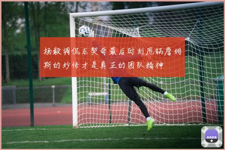 杨毅调侃东契奇最后时刻甩锅詹姆斯的妙传才是真正的团队精神